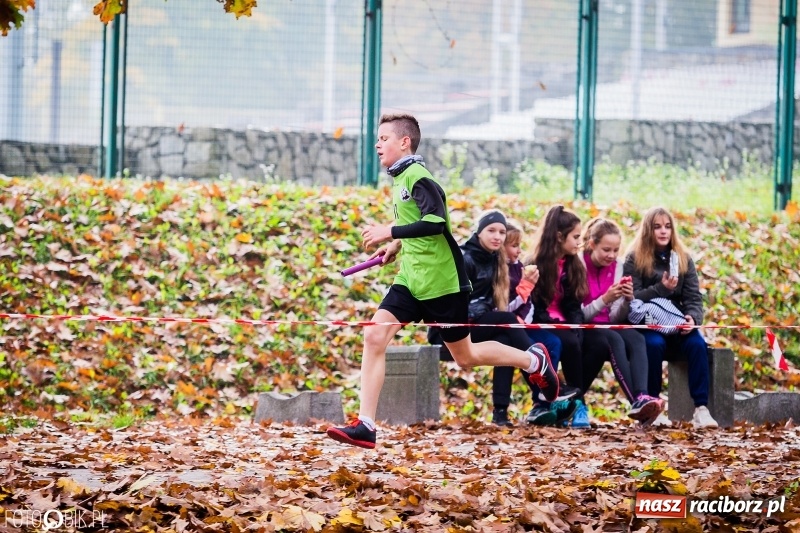 Zdjęcie w galerii na portalu naszraciborz.pl: Sztafetowe biegi przełajowe w parku Zamkowym wiadomości z regionu