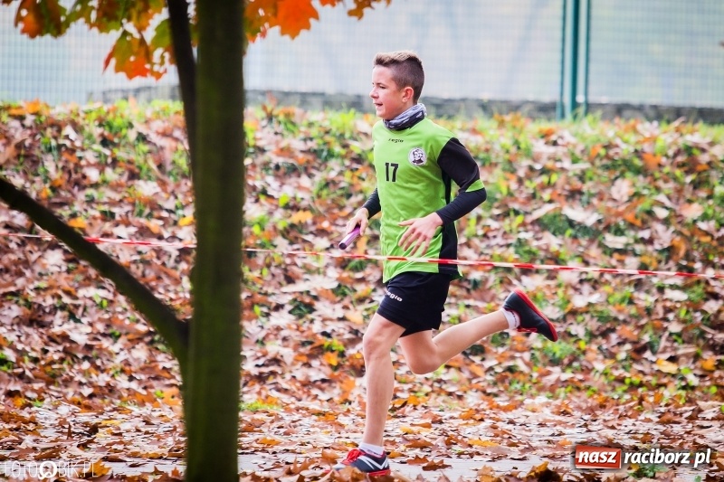 Zdjęcie w galerii na portalu naszraciborz.pl: Sztafetowe biegi przełajowe w parku Zamkowym wiadomości z regionu