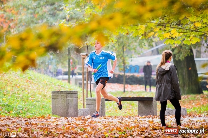 Zdjęcie w galerii na portalu naszraciborz.pl: Sztafetowe biegi przełajowe w parku Zamkowym wiadomości z regionu