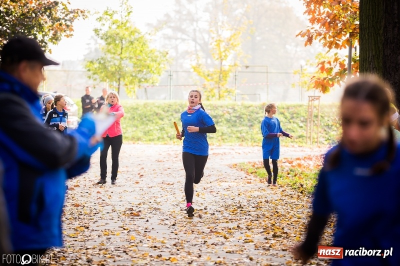 Zdjęcie w galerii na portalu naszraciborz.pl: Sztafetowe biegi przełajowe w parku Zamkowym wiadomości z regionu