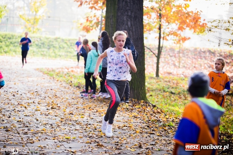 Zdjęcie w galerii na portalu naszraciborz.pl: Sztafetowe biegi przełajowe w parku Zamkowym wiadomości z regionu