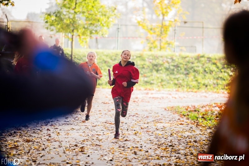 Zdjęcie w galerii na portalu naszraciborz.pl: Sztafetowe biegi przełajowe w parku Zamkowym wiadomości z regionu