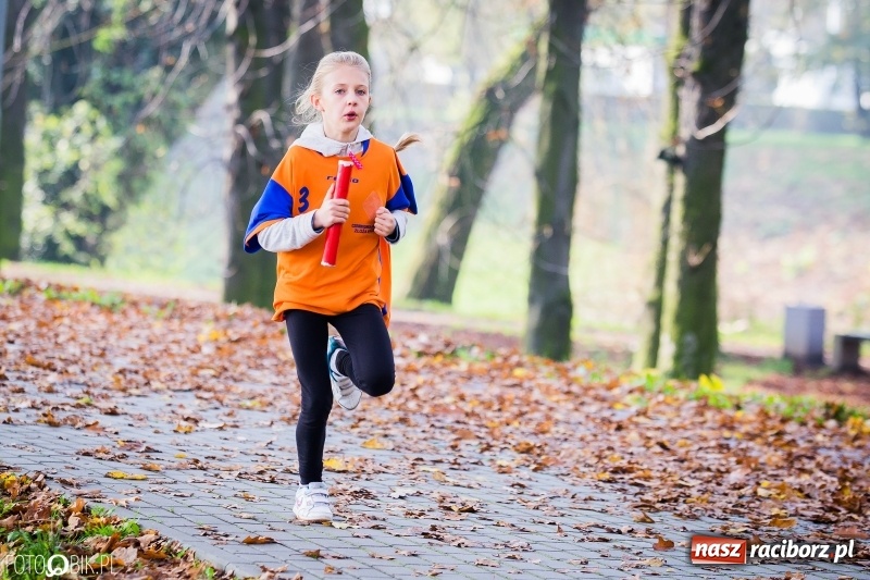 Zdjęcie w galerii na portalu naszraciborz.pl: Sztafetowe biegi przełajowe w parku Zamkowym wiadomości z regionu