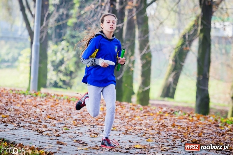 Zdjęcie w galerii na portalu naszraciborz.pl: Sztafetowe biegi przełajowe w parku Zamkowym wiadomości z regionu