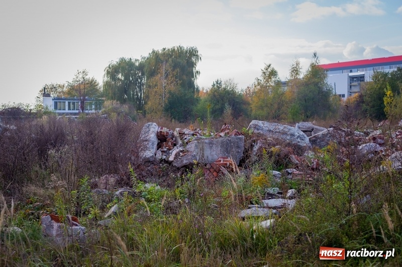 Zdjęcie w galerii na portalu naszraciborz.pl: Wizyta na terenie asfalciarni PRD. Mieszkańcy nie chcieli zobaczyć zakładu wiadomości z regionu