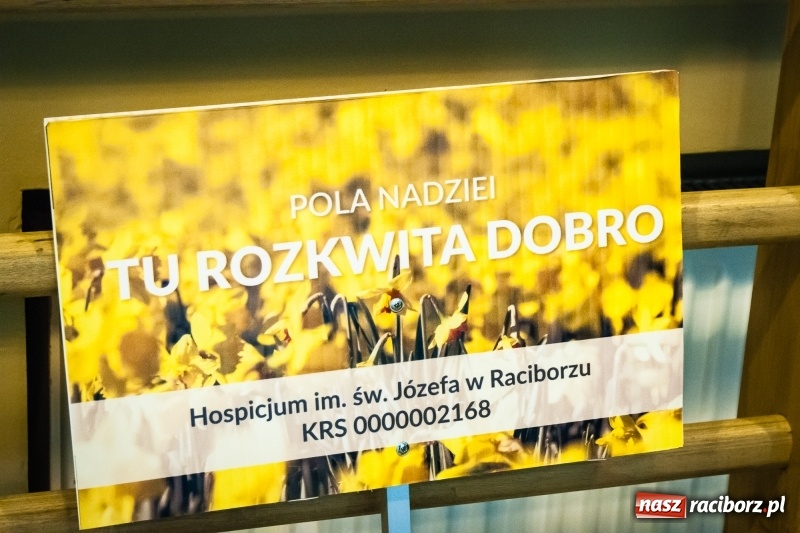 Zdjęcie w galerii na portalu naszraciborz.pl: W Markowicach posadzono żonkile, czyli inauguracja kolejnej edycji Pola Nadziei wiadomości z regionu