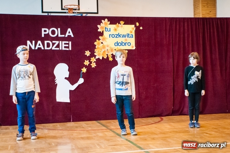 Zdjęcie w galerii na portalu naszraciborz.pl: W Markowicach posadzono żonkile, czyli inauguracja kolejnej edycji Pola Nadziei wiadomości z regionu