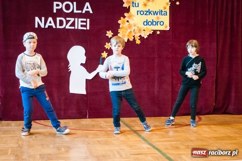 Zdjęcie w galerii na portalu naszraciborz.pl: W Markowicach posadzono żonkile, czyli inauguracja kolejnej edycji Pola Nadziei wiadomości z regionu