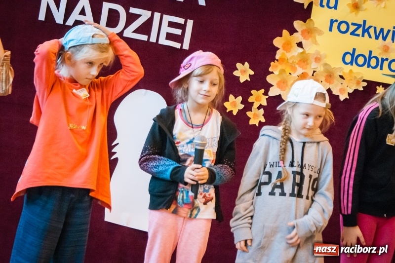 Zdjęcie w galerii na portalu naszraciborz.pl: W Markowicach posadzono żonkile, czyli inauguracja kolejnej edycji Pola Nadziei wiadomości z regionu