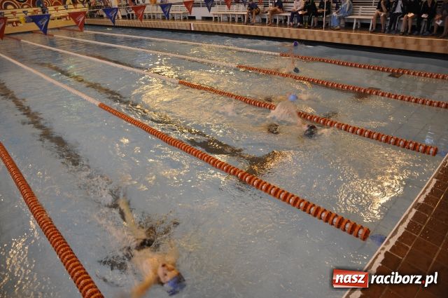 Zdjęcie w galerii na portalu naszraciborz.pl: Pływanie: Trwają mistrzostwa Polski wiadomości z regionu