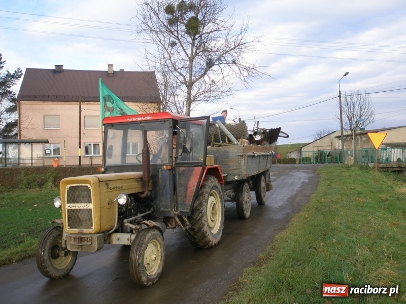 Zdjęcie w galerii na portalu naszraciborz.pl: Trwa kolejna powiatowa ZŁOMIADA  wiadomości z regionu