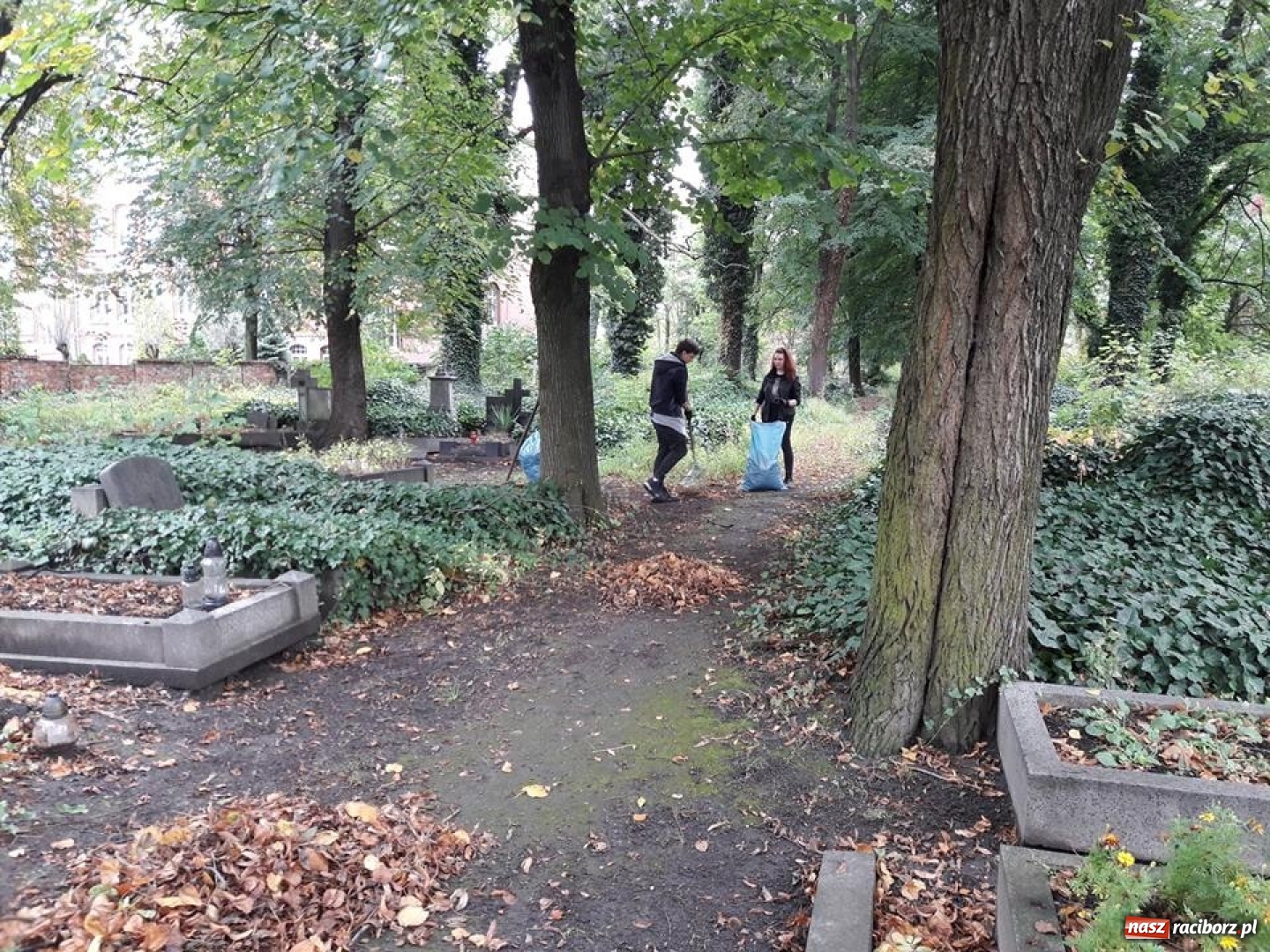 Zdjęcie w galerii na portalu naszraciborz.pl: Harcerze zaangażowali się w porządkowanie nekropolii  wiadomości z regionu