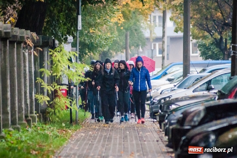 Zdjęcie w galerii na portalu naszraciborz.pl: I Jesienny Marsz Nordic Walking uczniów i nauczycieli I LO wiadomości z regionu