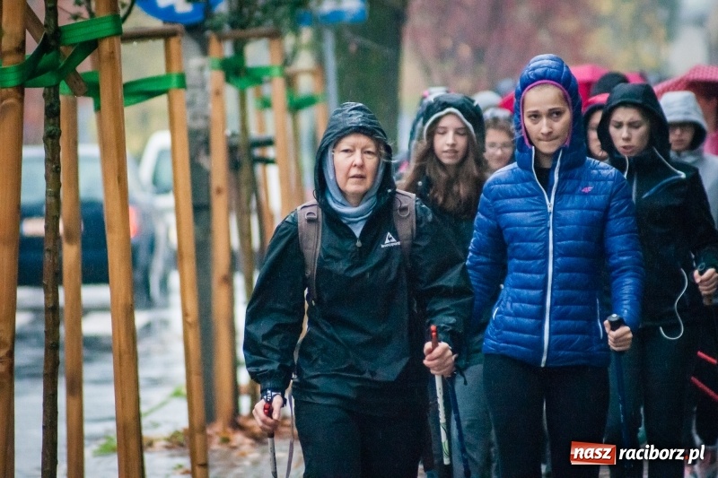 Zdjęcie w galerii na portalu naszraciborz.pl: I Jesienny Marsz Nordic Walking uczniów i nauczycieli I LO wiadomości z regionu