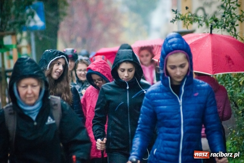 Zdjęcie w galerii na portalu naszraciborz.pl: I Jesienny Marsz Nordic Walking uczniów i nauczycieli I LO wiadomości z regionu