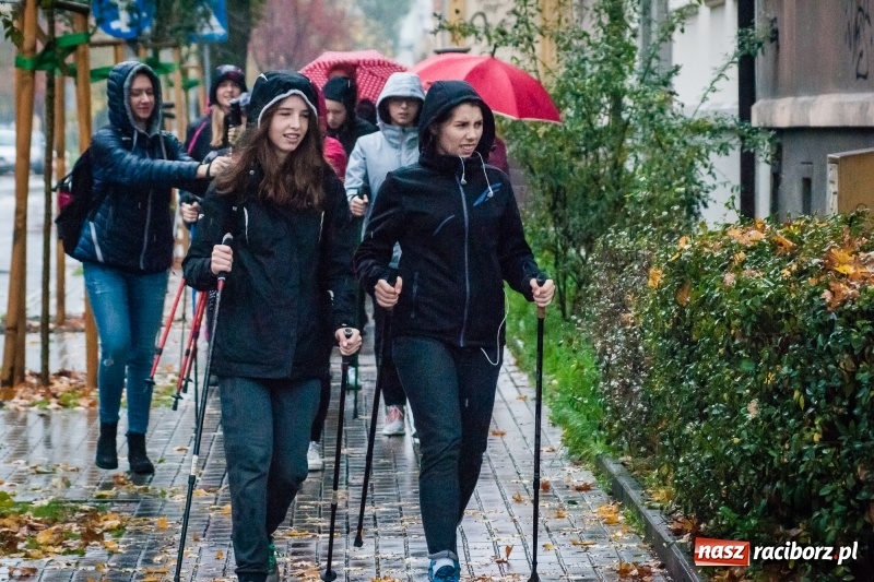 Zdjęcie w galerii na portalu naszraciborz.pl: I Jesienny Marsz Nordic Walking uczniów i nauczycieli I LO wiadomości z regionu