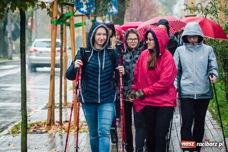 Zdjęcie w galerii na portalu naszraciborz.pl: I Jesienny Marsz Nordic Walking uczniów i nauczycieli I LO wiadomości z regionu
