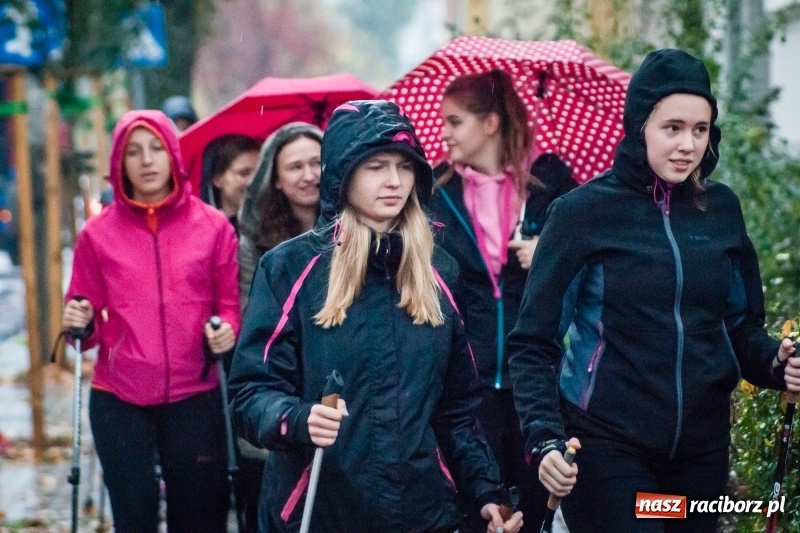 Zdjęcie w galerii na portalu naszraciborz.pl: I Jesienny Marsz Nordic Walking uczniów i nauczycieli I LO wiadomości z regionu