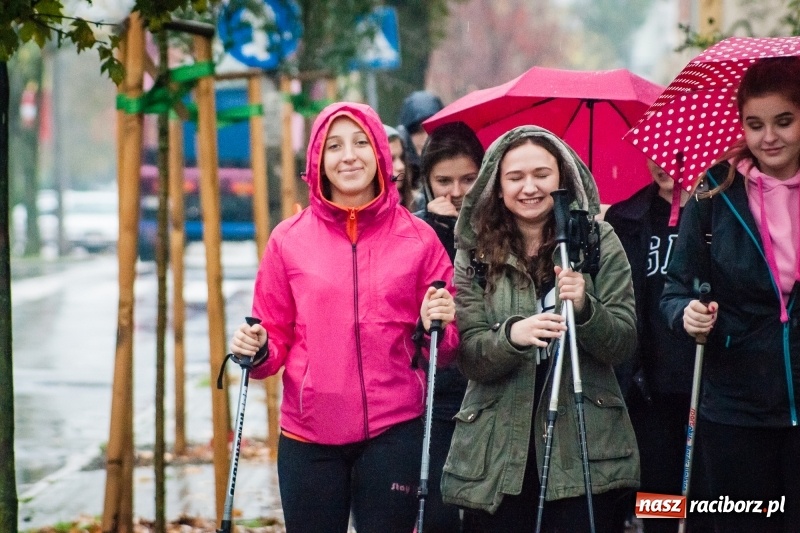 Zdjęcie w galerii na portalu naszraciborz.pl: I Jesienny Marsz Nordic Walking uczniów i nauczycieli I LO wiadomości z regionu