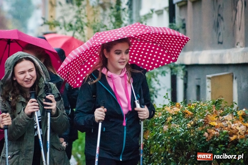 Zdjęcie w galerii na portalu naszraciborz.pl: I Jesienny Marsz Nordic Walking uczniów i nauczycieli I LO wiadomości z regionu