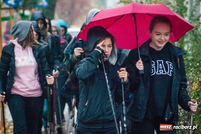 Zdjęcie w galerii na portalu naszraciborz.pl: I Jesienny Marsz Nordic Walking uczniów i nauczycieli I LO wiadomości z regionu