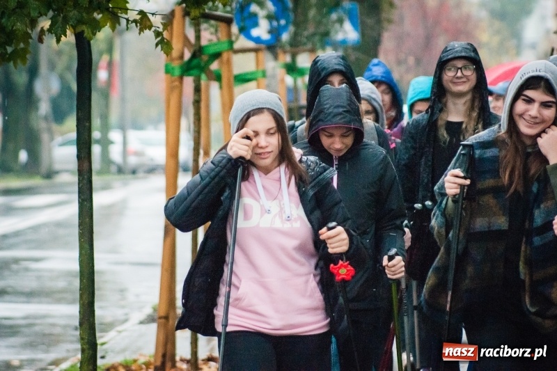 Zdjęcie w galerii na portalu naszraciborz.pl: I Jesienny Marsz Nordic Walking uczniów i nauczycieli I LO wiadomości z regionu