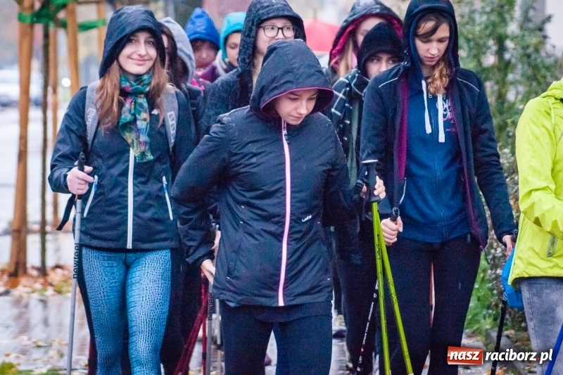 Zdjęcie w galerii na portalu naszraciborz.pl: I Jesienny Marsz Nordic Walking uczniów i nauczycieli I LO wiadomości z regionu