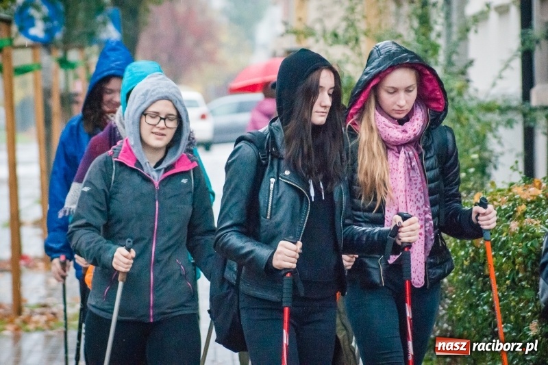 Zdjęcie w galerii na portalu naszraciborz.pl: I Jesienny Marsz Nordic Walking uczniów i nauczycieli I LO wiadomości z regionu