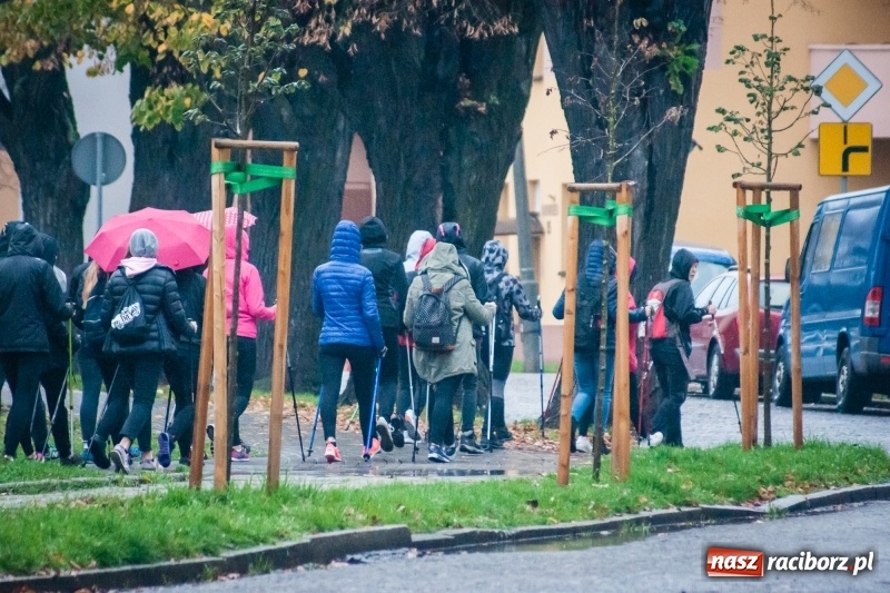 Zdjęcie w galerii na portalu naszraciborz.pl: I Jesienny Marsz Nordic Walking uczniów i nauczycieli I LO wiadomości z regionu