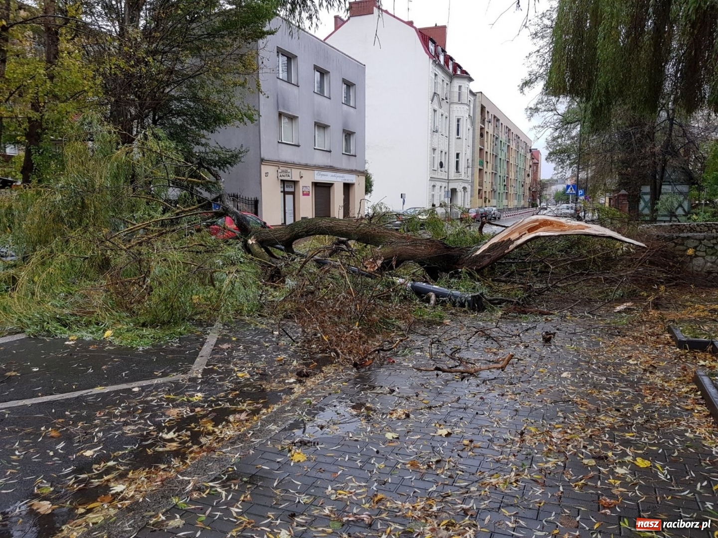 Zdjęcie w galerii na portalu naszraciborz.pl: Strażacy nadal walczą ze skutkami orkanu Grzegorz  wiadomości z regionu