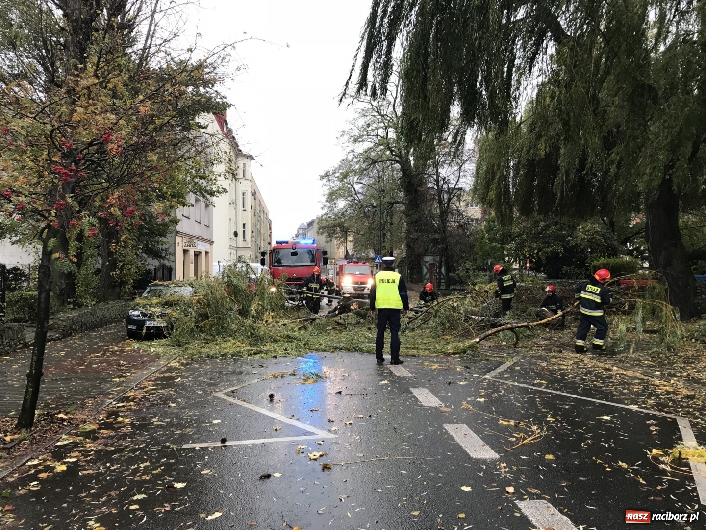 Zdjęcie w galerii na portalu naszraciborz.pl: Strażacy nadal walczą ze skutkami orkanu Grzegorz  wiadomości z regionu