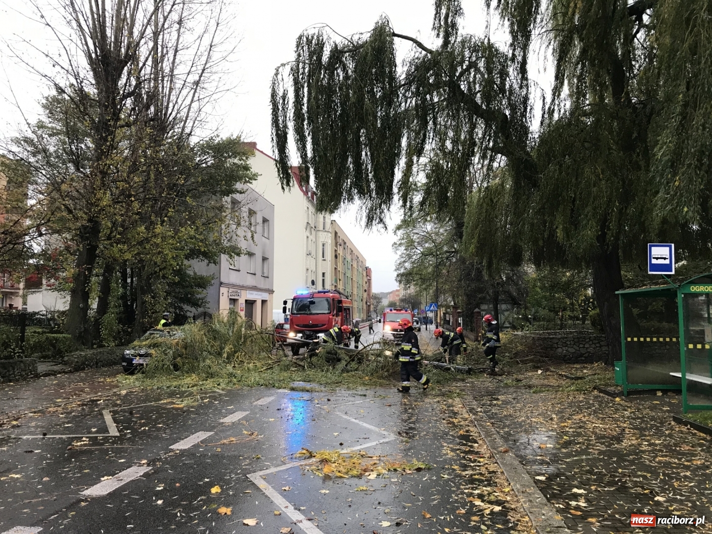 Zdjęcie w galerii na portalu naszraciborz.pl: Strażacy nadal walczą ze skutkami orkanu Grzegorz  wiadomości z regionu