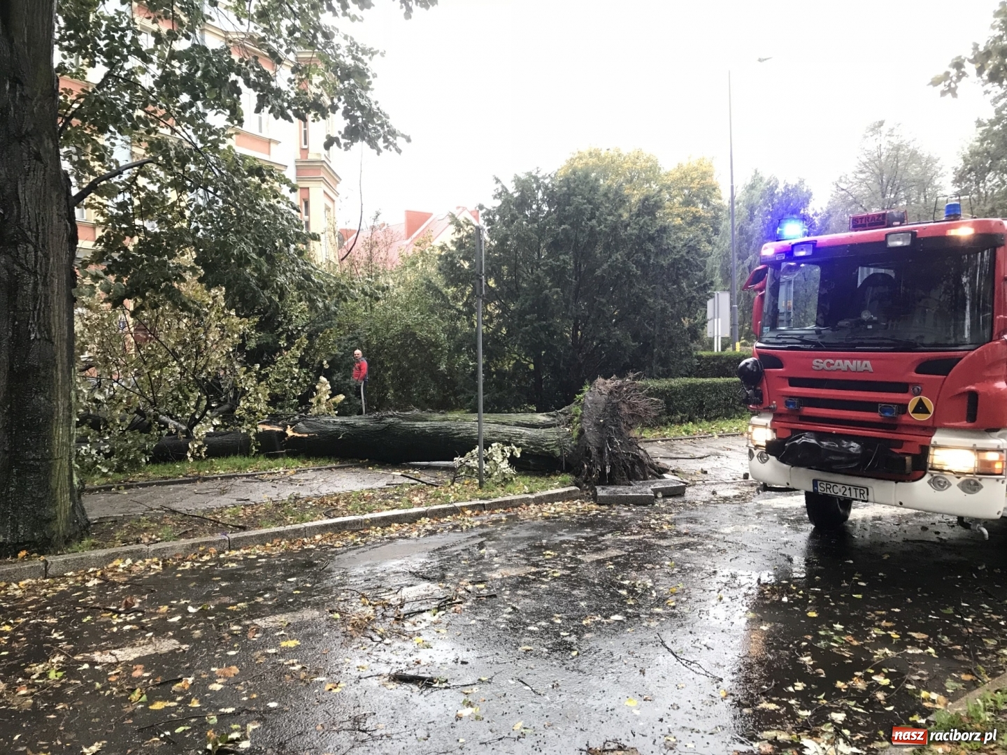 Zdjęcie w galerii na portalu naszraciborz.pl: Strażacy nadal walczą ze skutkami orkanu Grzegorz  wiadomości z regionu
