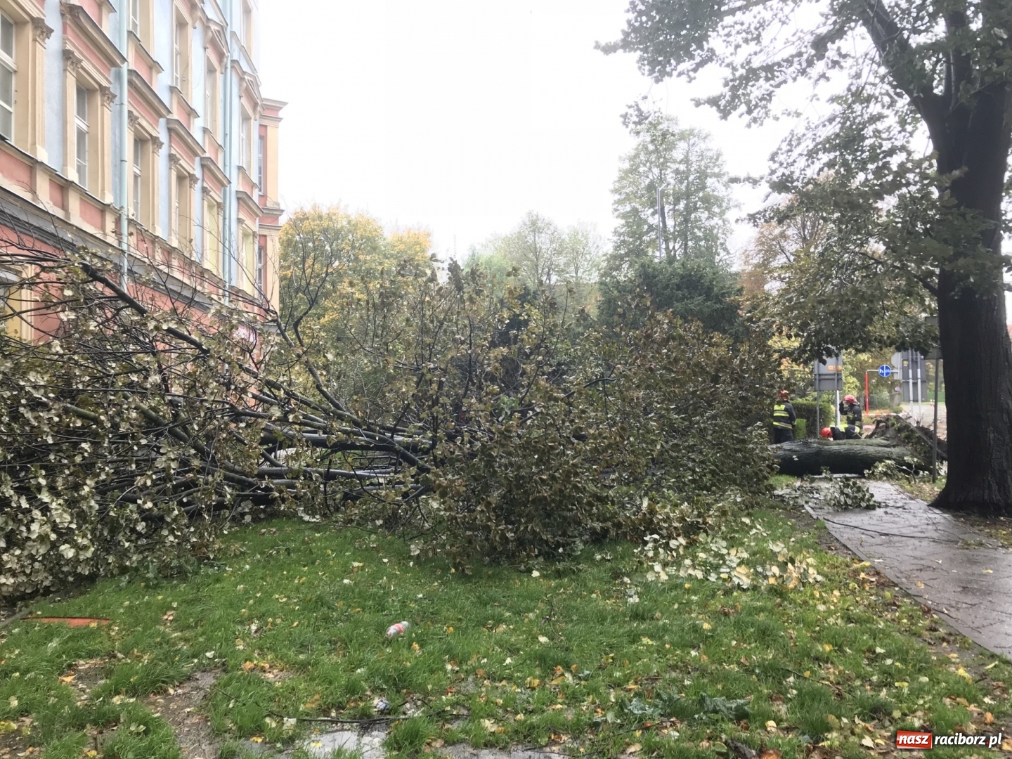 Zdjęcie w galerii na portalu naszraciborz.pl: Strażacy nadal walczą ze skutkami orkanu Grzegorz  wiadomości z regionu