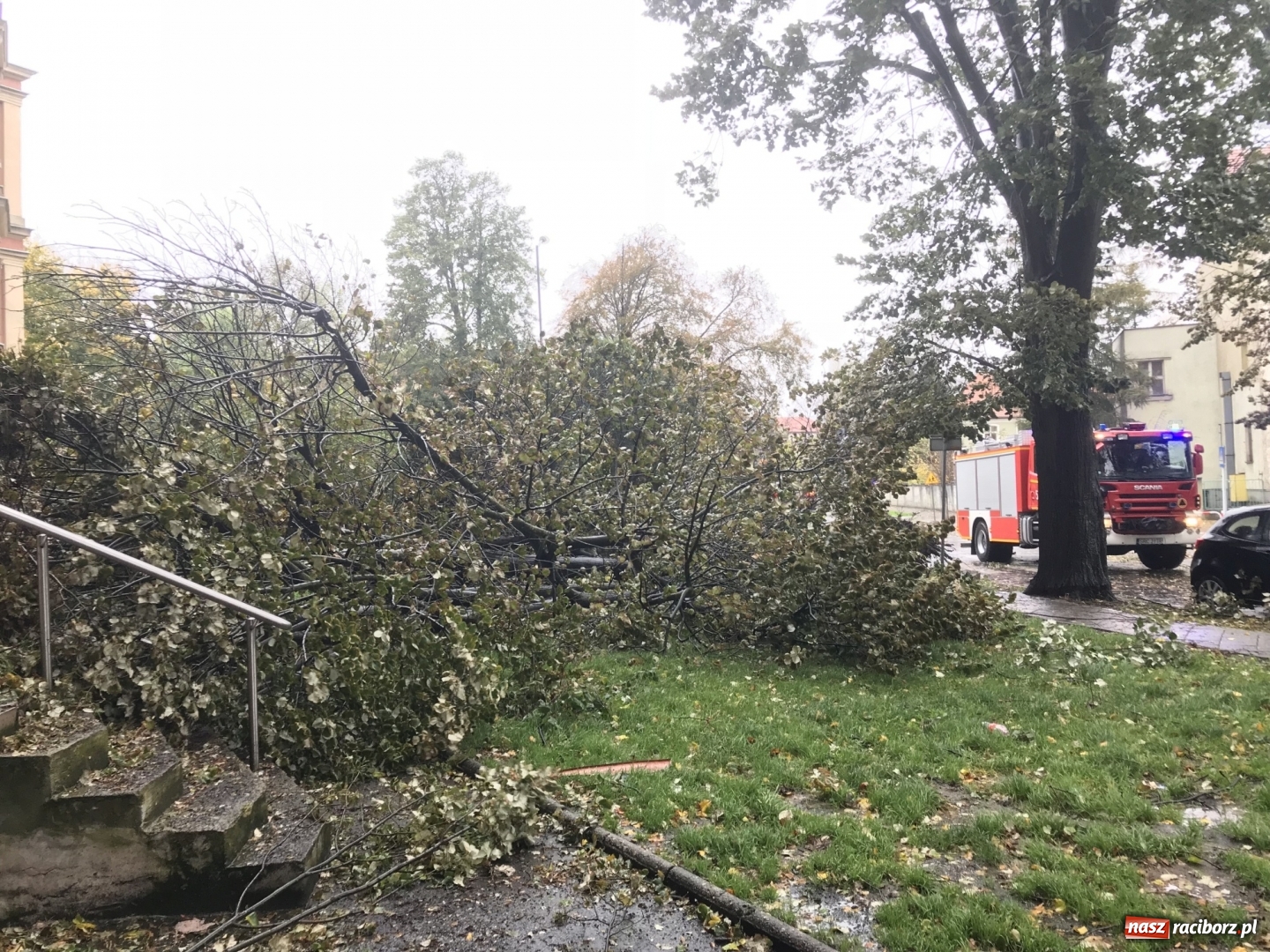 Zdjęcie w galerii na portalu naszraciborz.pl: Strażacy nadal walczą ze skutkami orkanu Grzegorz  wiadomości z regionu