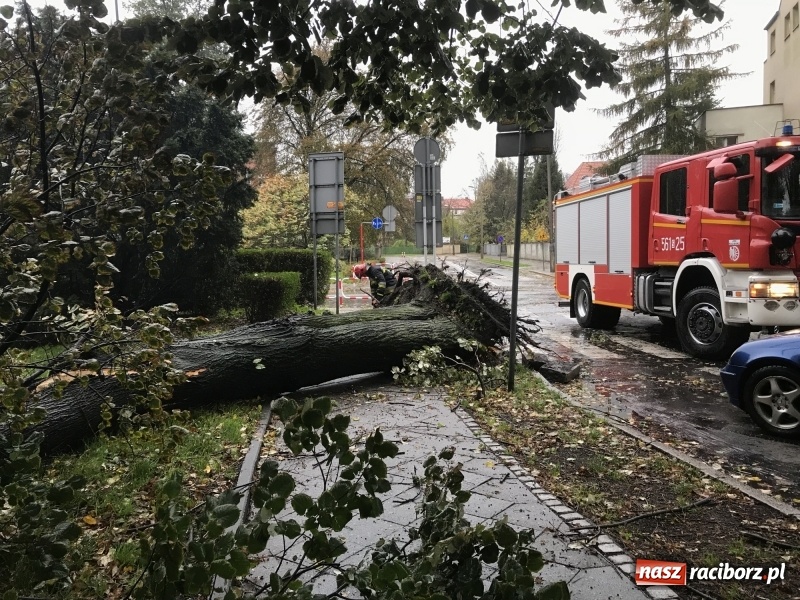 Zdjęcie w galerii na portalu naszraciborz.pl: Strażacy nadal walczą ze skutkami orkanu Grzegorz  wiadomości z regionu