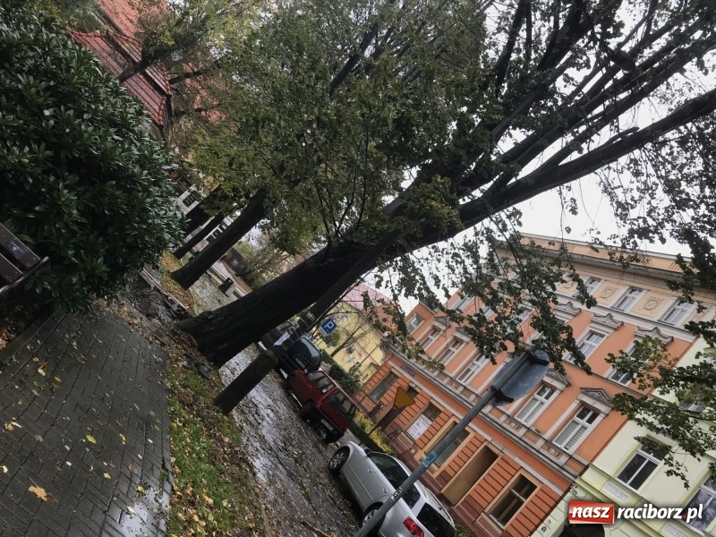 Zdjęcie w galerii na portalu naszraciborz.pl: Strażacy nadal walczą ze skutkami orkanu Grzegorz  wiadomości z regionu