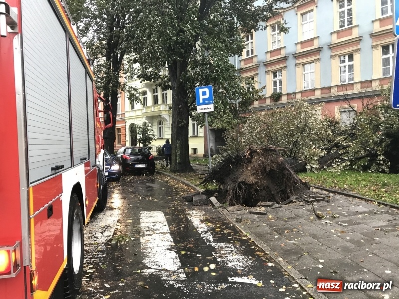 Zdjęcie w galerii na portalu naszraciborz.pl: Strażacy nadal walczą ze skutkami orkanu Grzegorz  wiadomości z regionu