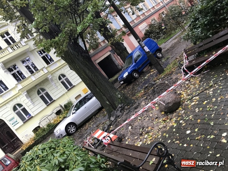 Zdjęcie w galerii na portalu naszraciborz.pl: Strażacy nadal walczą ze skutkami orkanu Grzegorz  wiadomości z regionu