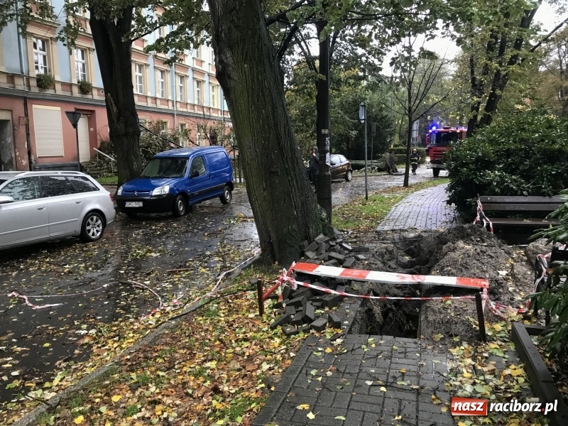 Zdjęcie w galerii na portalu naszraciborz.pl: Strażacy nadal walczą ze skutkami orkanu Grzegorz  wiadomości z regionu