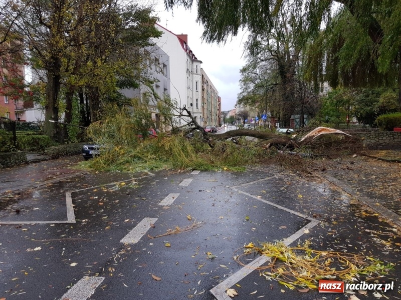 Zdjęcie w galerii na portalu naszraciborz.pl: Strażacy nadal walczą ze skutkami orkanu Grzegorz  wiadomości z regionu