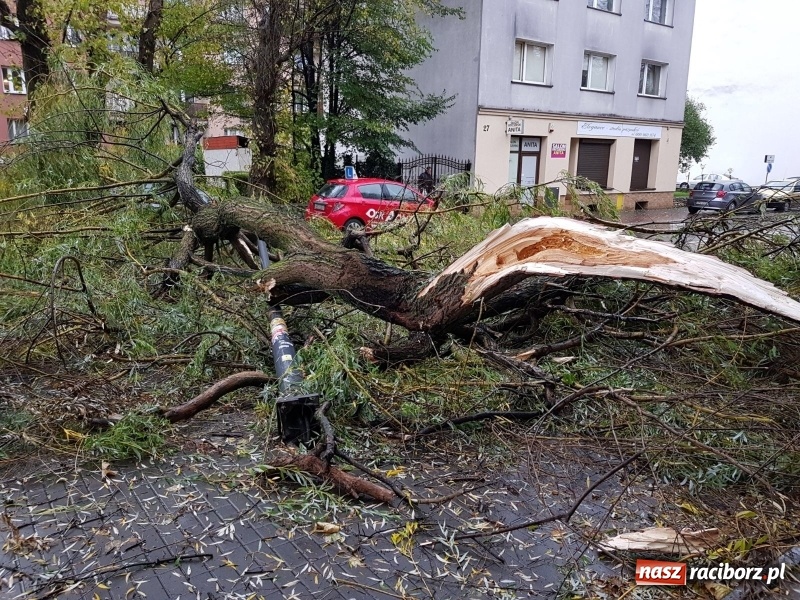 Zdjęcie w galerii na portalu naszraciborz.pl: Strażacy nadal walczą ze skutkami orkanu Grzegorz  wiadomości z regionu