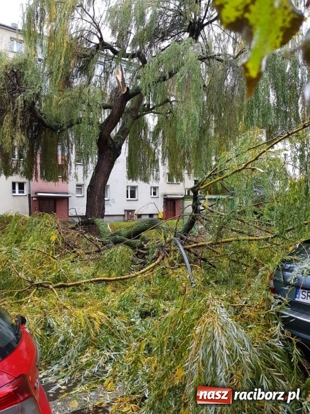 Zdjęcie w galerii na portalu naszraciborz.pl: Strażacy nadal walczą ze skutkami orkanu Grzegorz  wiadomości z regionu