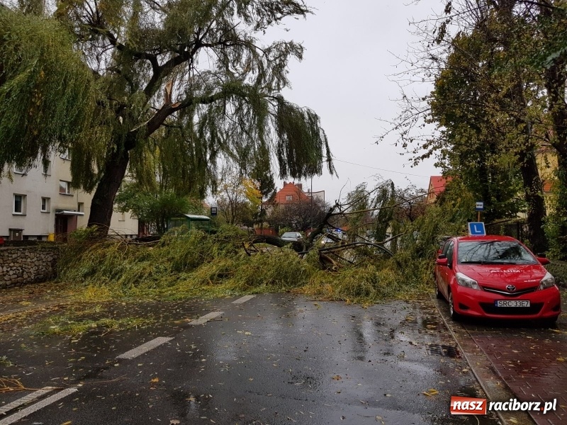 Zdjęcie w galerii na portalu naszraciborz.pl: Strażacy nadal walczą ze skutkami orkanu Grzegorz  wiadomości z regionu