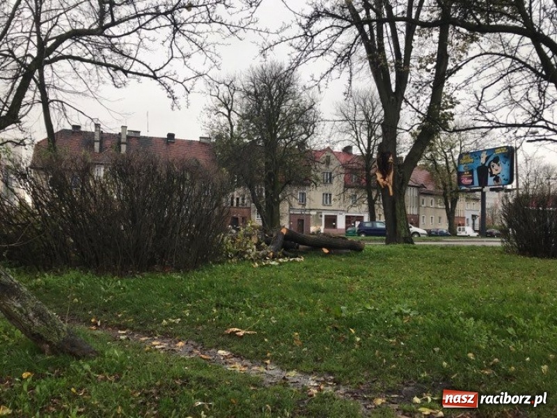 Zdjęcie w galerii na portalu naszraciborz.pl: Strażacy nadal walczą ze skutkami orkanu Grzegorz  wiadomości z regionu