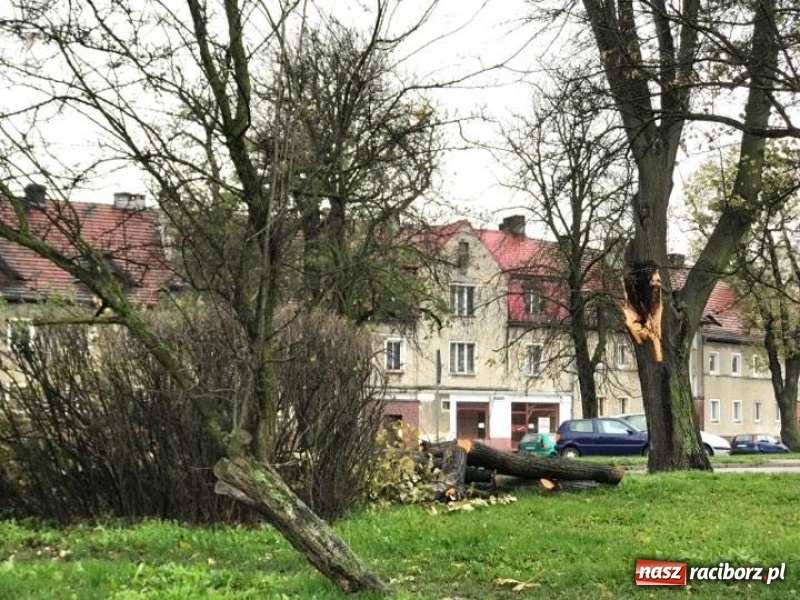 Zdjęcie w galerii na portalu naszraciborz.pl: Strażacy nadal walczą ze skutkami orkanu Grzegorz  wiadomości z regionu