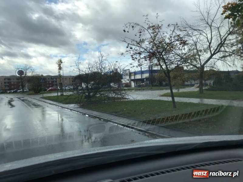 Zdjęcie w galerii na portalu naszraciborz.pl: Strażacy nadal walczą ze skutkami orkanu Grzegorz  wiadomości z regionu