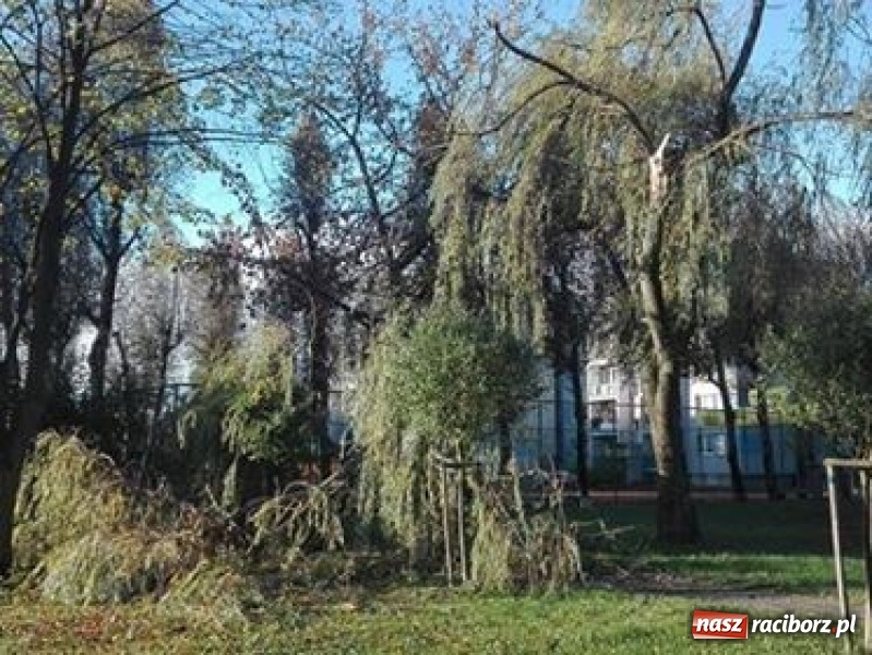 Zdjęcie w galerii na portalu naszraciborz.pl: Strażacy nadal walczą ze skutkami orkanu Grzegorz  wiadomości z regionu