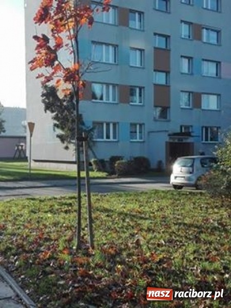 Zdjęcie w galerii na portalu naszraciborz.pl: Strażacy nadal walczą ze skutkami orkanu Grzegorz  wiadomości z regionu