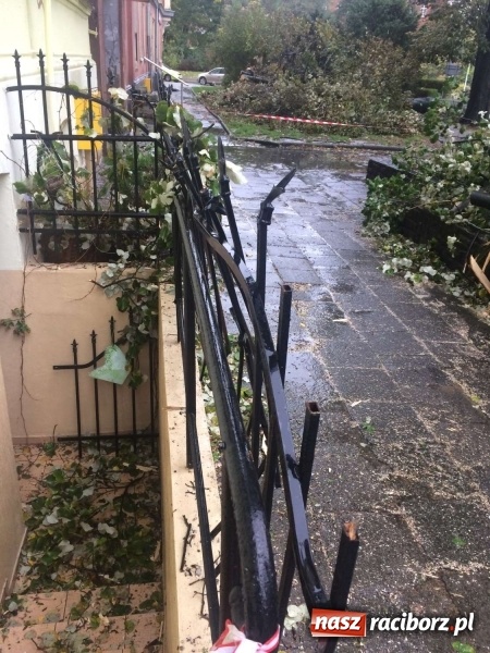 Zdjęcie w galerii na portalu naszraciborz.pl: Plac Wolności czy plac śmierci?  wiadomości z regionu